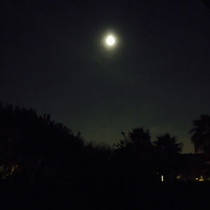 Meet your Posher, Micah